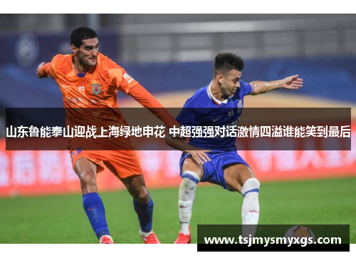 山东鲁能泰山迎战上海绿地申花 中超强强对话激情四溢谁能笑到最后