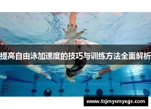 提高自由泳加速度的技巧与训练方法全面解析