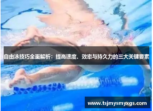 自由泳技巧全面解析：提高速度、效率与持久力的三大关键要素