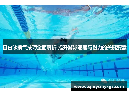 自由泳换气技巧全面解析 提升游泳速度与耐力的关键要素
