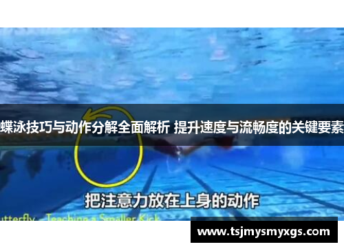 蝶泳技巧与动作分解全面解析 提升速度与流畅度的关键要素