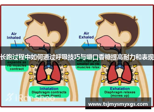 长跑过程中如何通过呼吸技巧与嚼口香糖提高耐力和表现