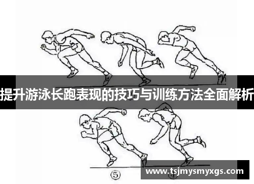 提升游泳长跑表现的技巧与训练方法全面解析