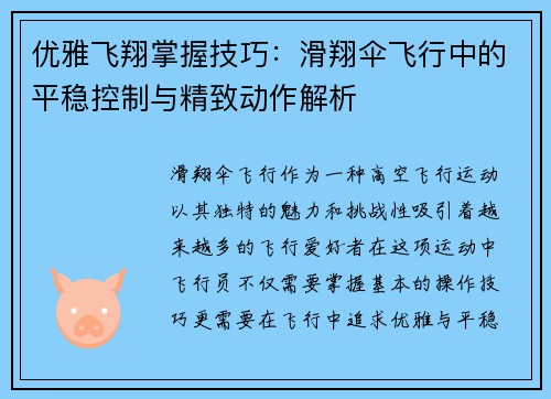 优雅飞翔掌握技巧：滑翔伞飞行中的平稳控制与精致动作解析