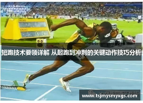 短跑技术要领详解 从起跑到冲刺的关键动作技巧分析